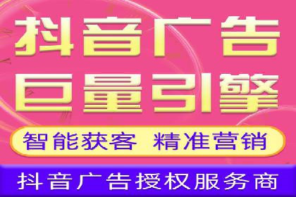 竞价广告的投放策略与效果评估——以一成功企业为例